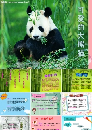 三年级语文上册 第三单元 可爱的大熊猫课件3 西师大版-西师大版小学三年级上册语文课件