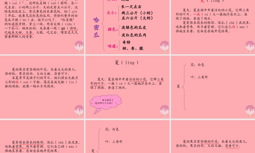 三年级语文上册 第四单元 家乡的哈密瓜 菱课件1 湘教版-湘教版小学三年级上册语文课件