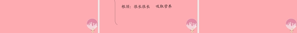 三年级语文上册 第四单元 家乡的哈密瓜 菱课件1 湘教版-湘教版小学三年级上册语文课件