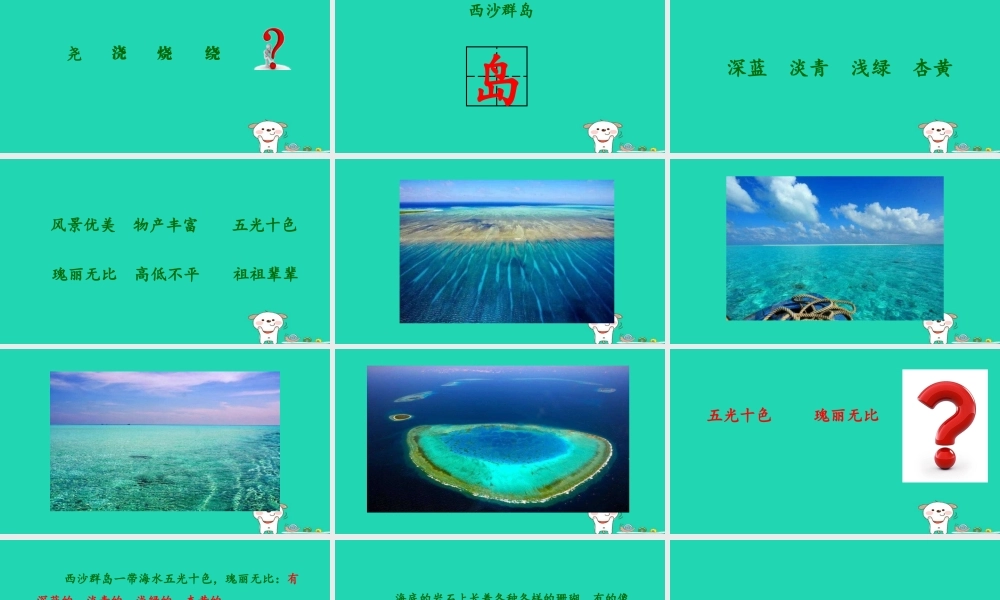 三年级语文上册 第六单元 18富饶的西沙群岛课件 新人教版-新人教版小学三年级上册语文课件