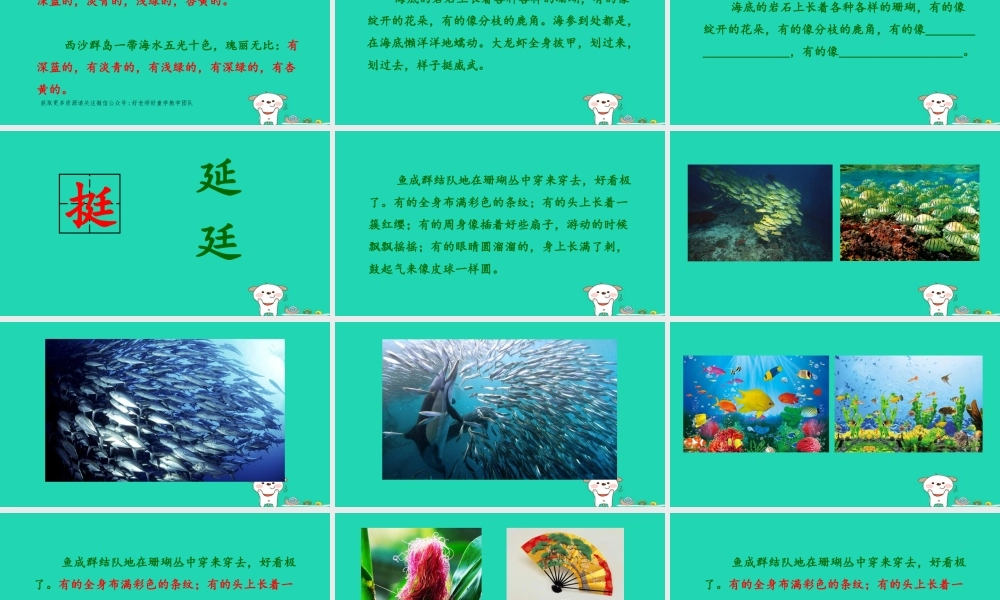 三年级语文上册 第六单元 18富饶的西沙群岛课件 新人教版-新人教版小学三年级上册语文课件