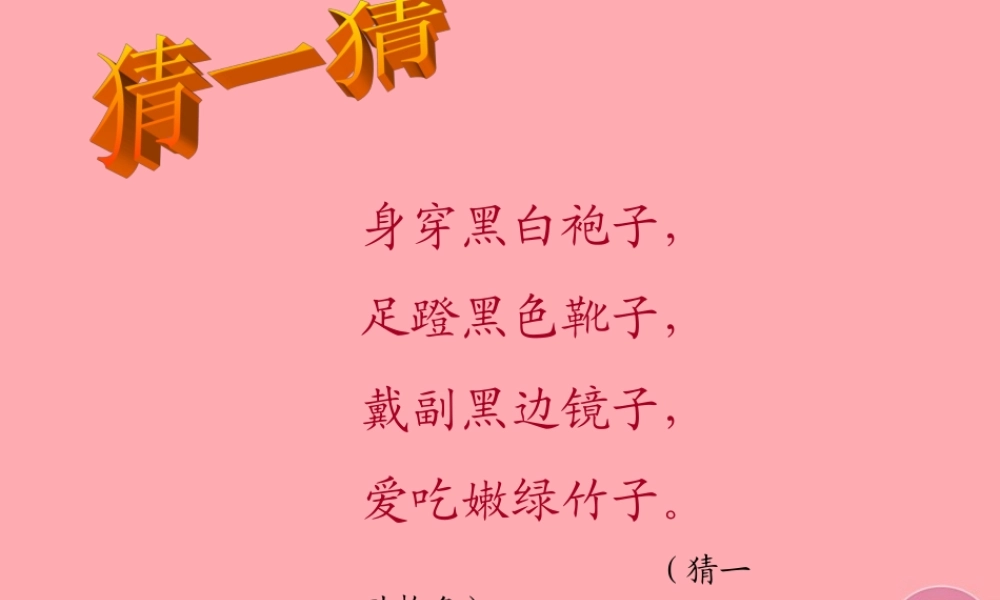 三年级语文上册 第三单元 可爱的大熊猫课件4 西师大版-西师大版小学三年级上册语文课件