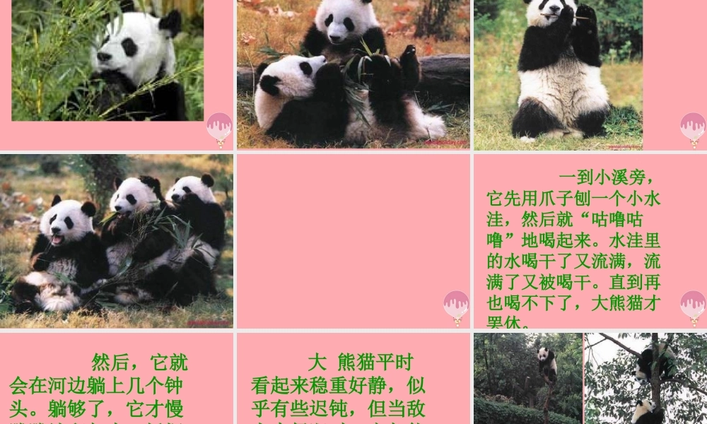 三年级语文上册 第三单元 可爱的大熊猫课件4 西师大版-西师大版小学三年级上册语文课件