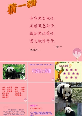 三年级语文上册 第三单元 可爱的大熊猫课件4 西师大版-西师大版小学三年级上册语文课件