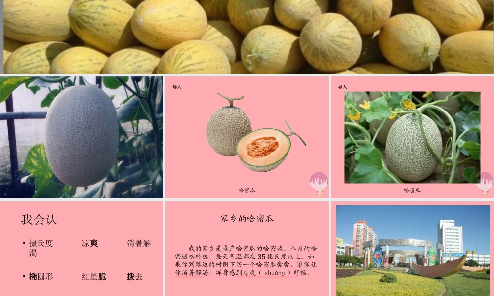 三年级语文上册 第四单元 家乡的哈密瓜 菱课件2 湘教版-湘教版小学三年级上册语文课件