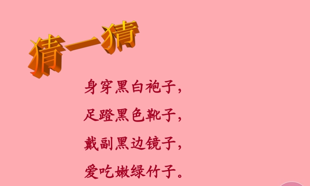 三年级语文上册 第三单元 可爱的大熊猫课件6 西师大版-西师大版小学三年级上册语文课件