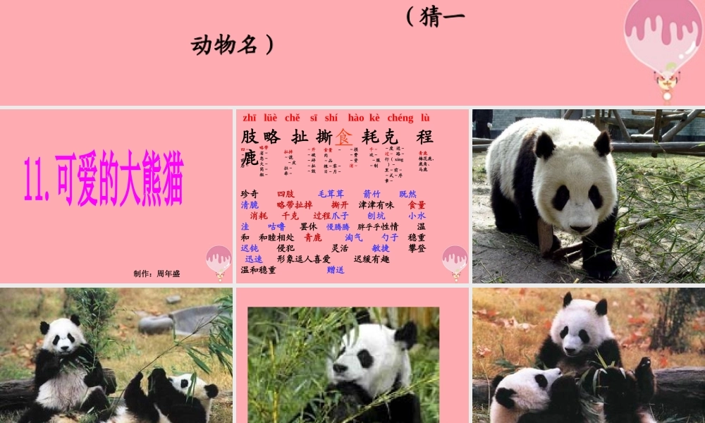 三年级语文上册 第三单元 可爱的大熊猫课件6 西师大版-西师大版小学三年级上册语文课件