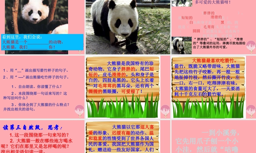 三年级语文上册 第三单元 可爱的大熊猫课件6 西师大版-西师大版小学三年级上册语文课件