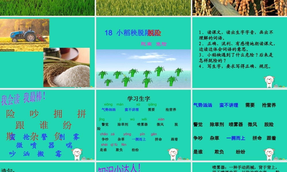 三年级语文上册 第六单元 18小稻秧脱险记课件 苏教版-苏教版小学三年级上册语文课件