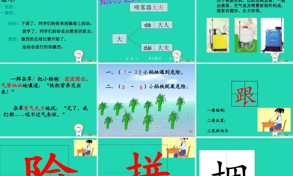 三年级语文上册 第六单元 18小稻秧脱险记课件 苏教版-苏教版小学三年级上册语文课件