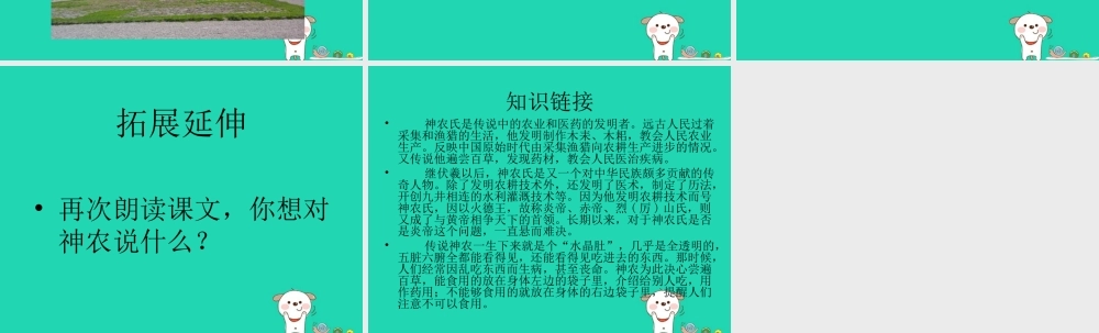 三年级语文上册 第五单元 尝百草课件 冀教版