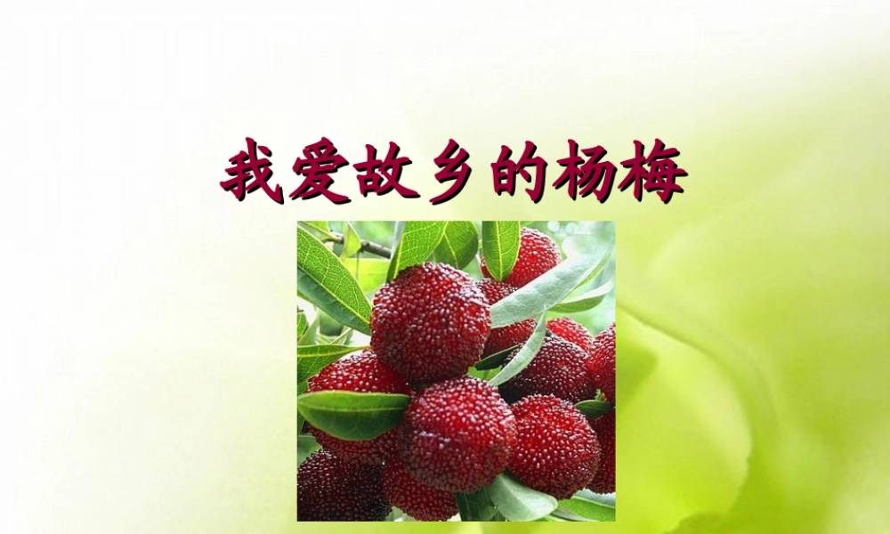 三年级语文上册《我爱故乡的杨梅》课件3 语文A版-语文A版小学三年级上册语文课件