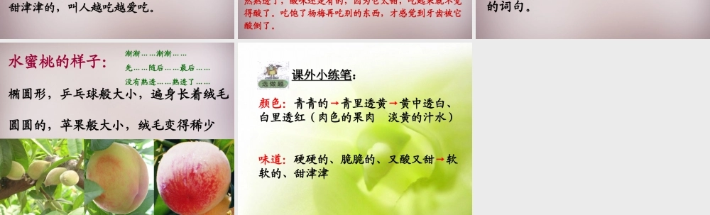 三年级语文上册《我爱故乡的杨梅》课件3 语文A版-语文A版小学三年级上册语文课件