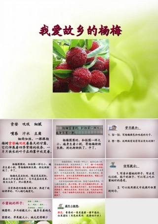 三年级语文上册《我爱故乡的杨梅》课件3 语文A版-语文A版小学三年级上册语文课件