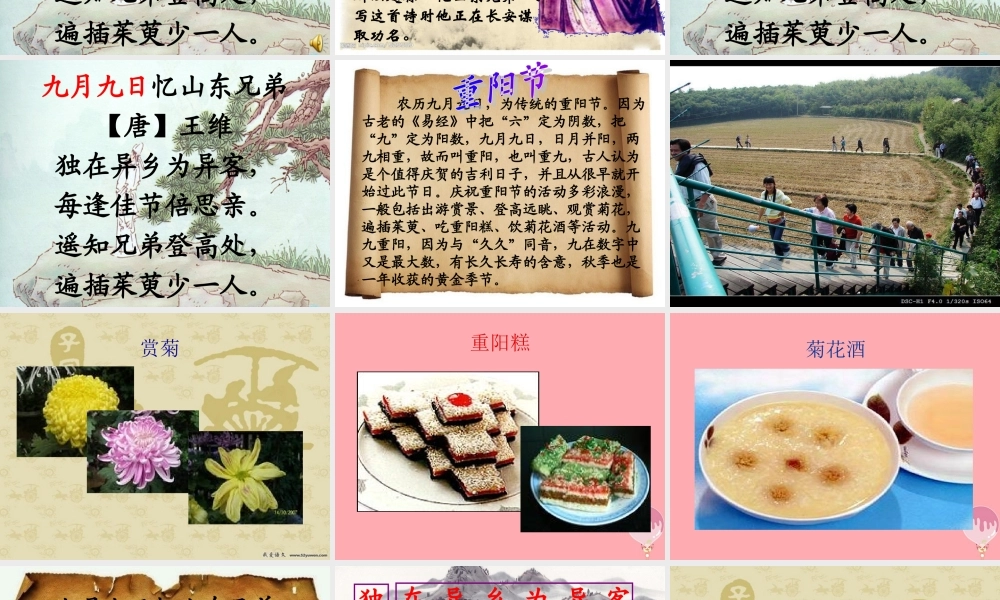 三年级语文上册 第四单元 九月九日忆山东兄弟课件2 西师大版-西师大版小学三年级上册语文课件