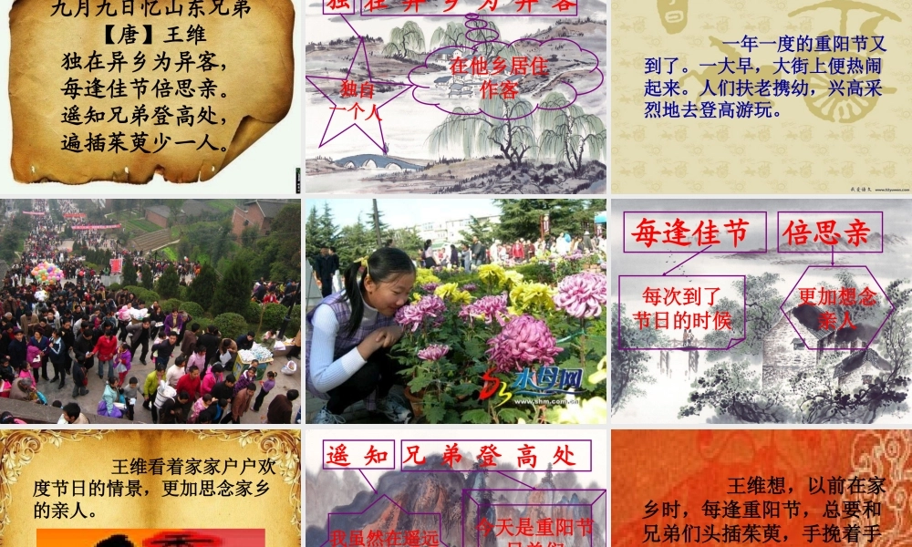 三年级语文上册 第四单元 九月九日忆山东兄弟课件2 西师大版-西师大版小学三年级上册语文课件