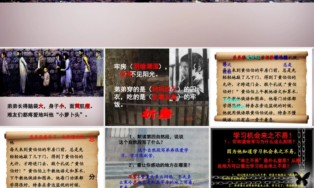 三年级语文上册《我的弟弟“小萝卜头”》课件2 语文A版-语文A版小学三年级上册语文课件