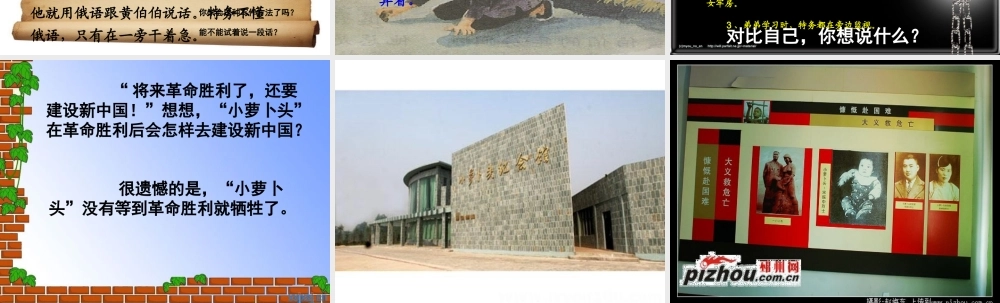 三年级语文上册《我的弟弟“小萝卜头”》课件2 语文A版-语文A版小学三年级上册语文课件