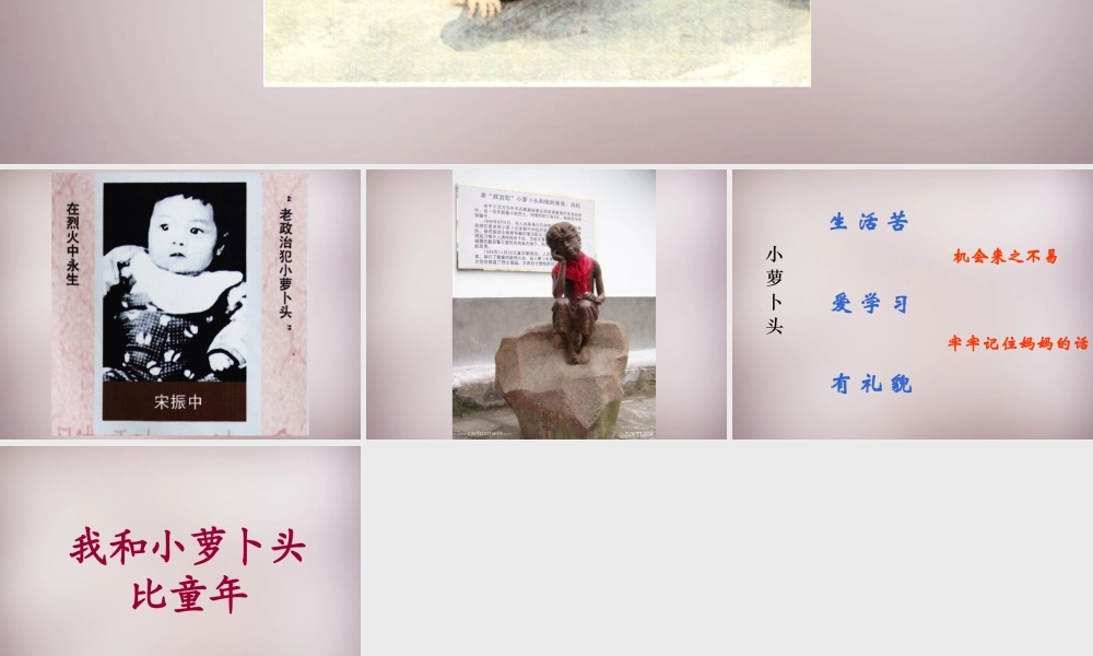 三年级语文上册《我的弟弟“小萝卜头”》课件3 语文A版-语文A版小学三年级上册语文课件