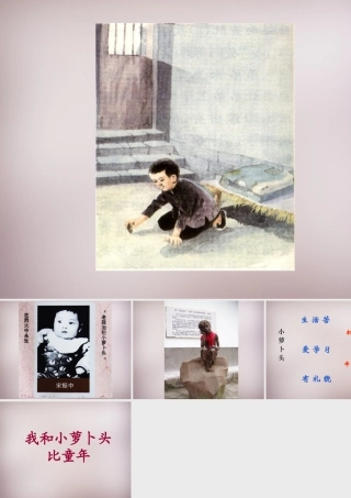 三年级语文上册《我的弟弟“小萝卜头”》课件3 语文A版-语文A版小学三年级上册语文课件