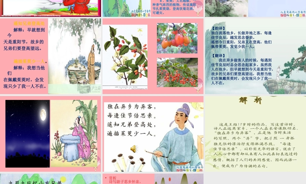 三年级语文上册 第四单元 九月九日忆山东兄弟课件3 西师大版-西师大版小学三年级上册语文课件