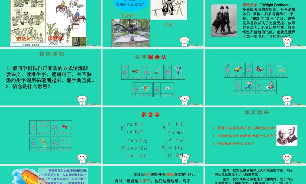 三年级语文上册 第五单元 第20课《飞翔的信念》课件 语文S版-语文S版小学三年级上册语文课件