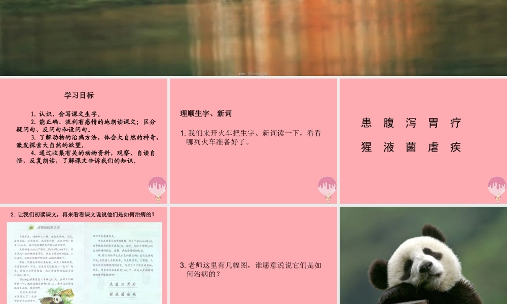 三年级语文上册 第五单元 动物治病办法多课件1 湘教版-湘教版小学三年级上册语文课件