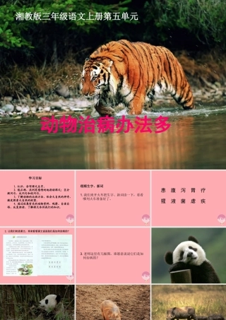 三年级语文上册 第五单元 动物治病办法多课件1 湘教版-湘教版小学三年级上册语文课件