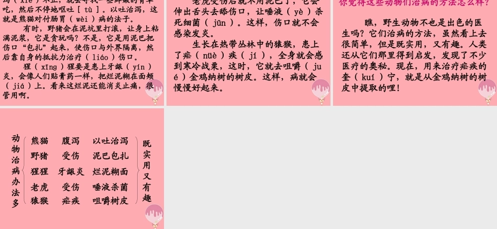 三年级语文上册 第五单元 动物治病办法多课件2 湘教版-湘教版小学三年级上册语文课件