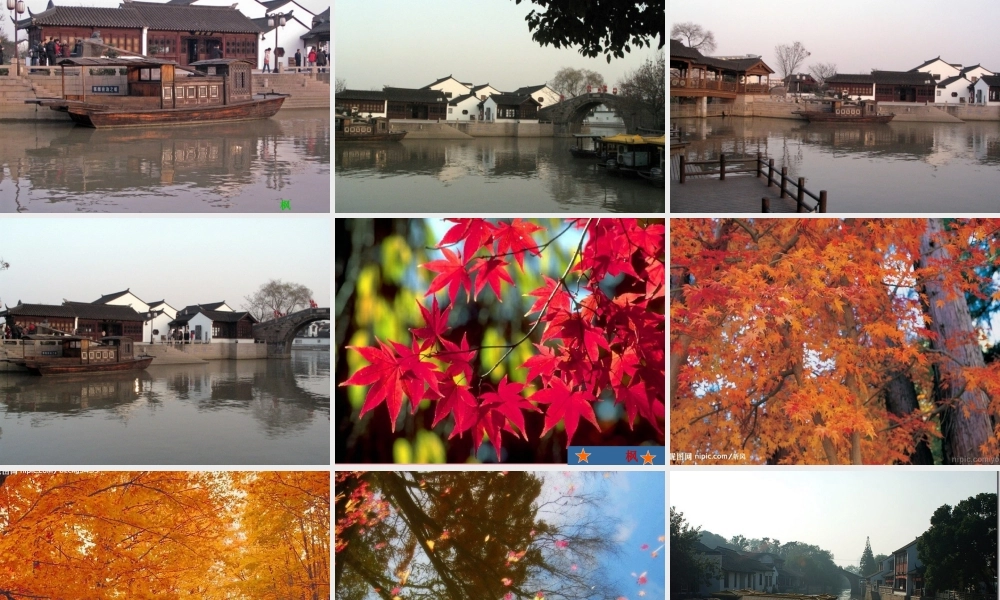 三年级语文上册 第五单元 枫桥夜泊课件2 西师大版-西师大版小学三年级上册语文课件