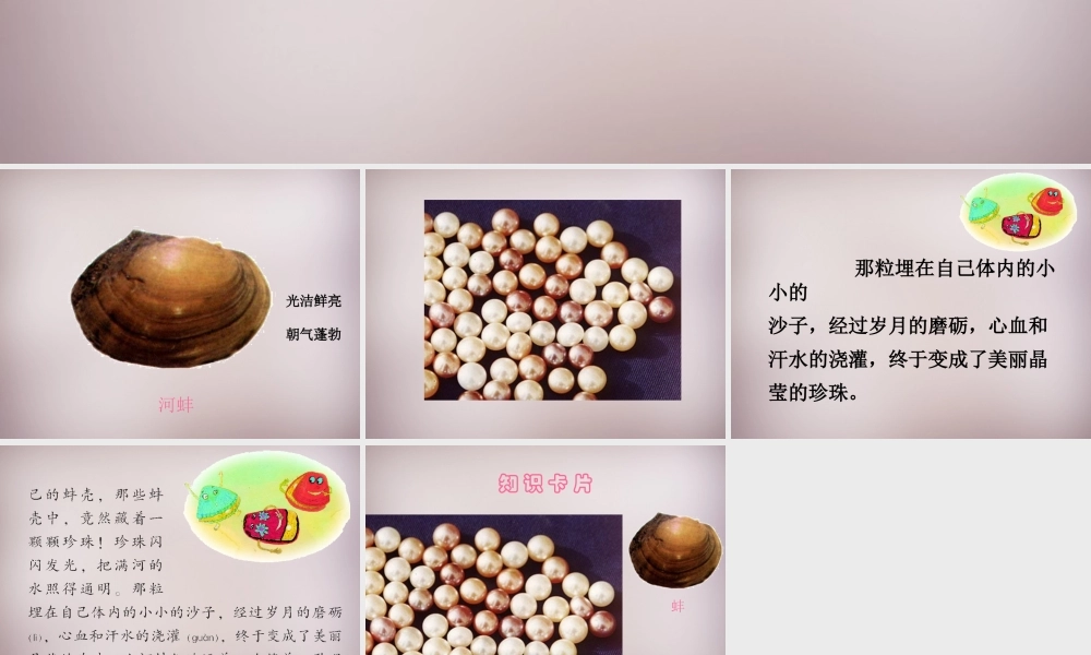三年级语文上册《小河蚌的故事》课件1 语文A版-语文A版小学三年级上册语文课件