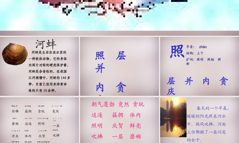 三年级语文上册《小河蚌的故事》课件2 语文A版-语文A版小学三年级上册语文课件