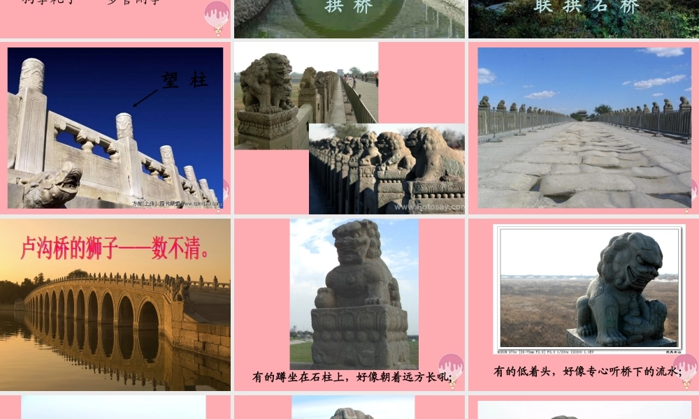 三年级语文上册 第四单元 卢沟桥的狮子课件3 鄂教版-鄂教版小学三年级上册语文课件