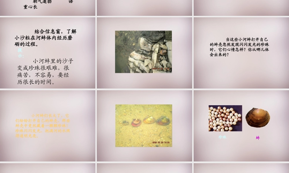 三年级语文上册《小河蚌的故事》课件3 语文A版-语文A版小学三年级上册语文课件