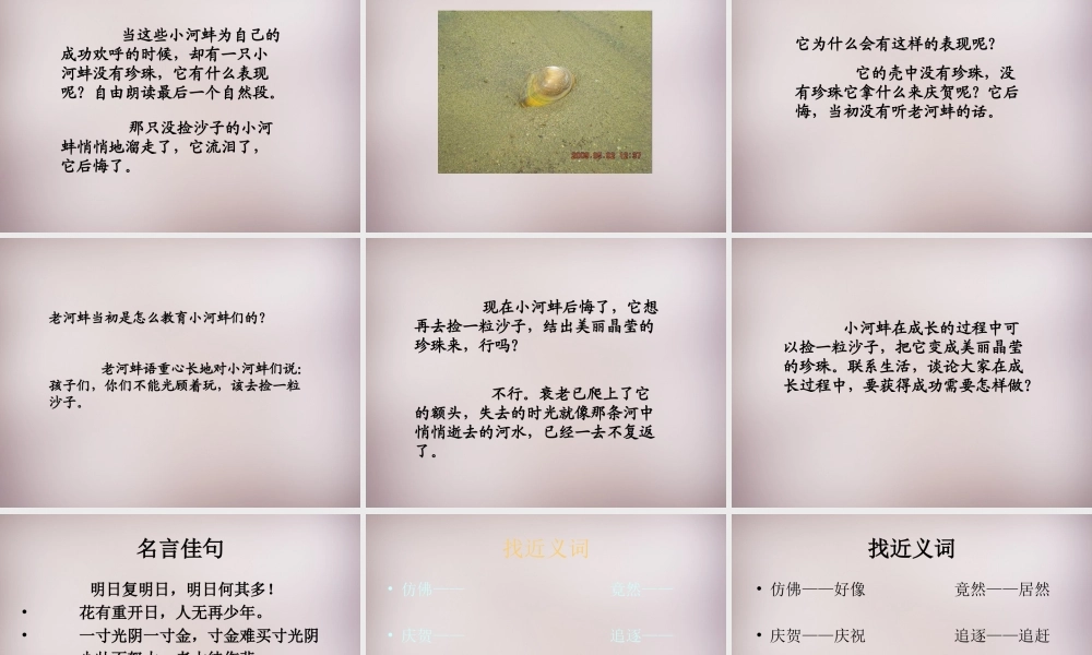 三年级语文上册《小河蚌的故事》课件3 语文A版-语文A版小学三年级上册语文课件