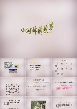 三年级语文上册《小河蚌的故事》课件3 语文A版-语文A版小学三年级上册语文课件