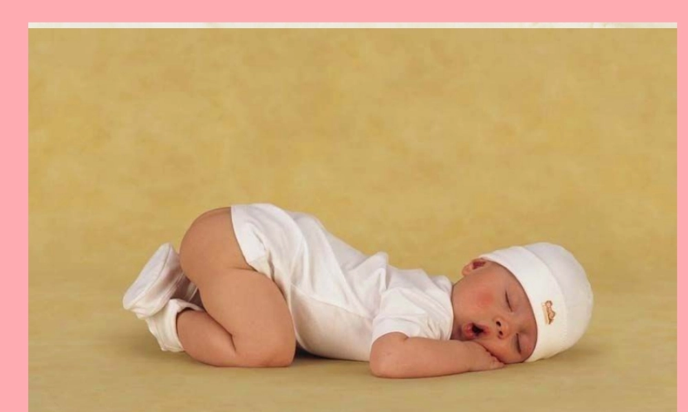 三年级语文上册 第三单元 植物的睡眠课件2 西师大版-西师大版小学三年级上册语文课件