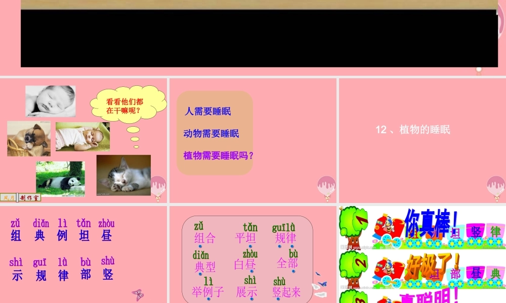 三年级语文上册 第三单元 植物的睡眠课件2 西师大版-西师大版小学三年级上册语文课件