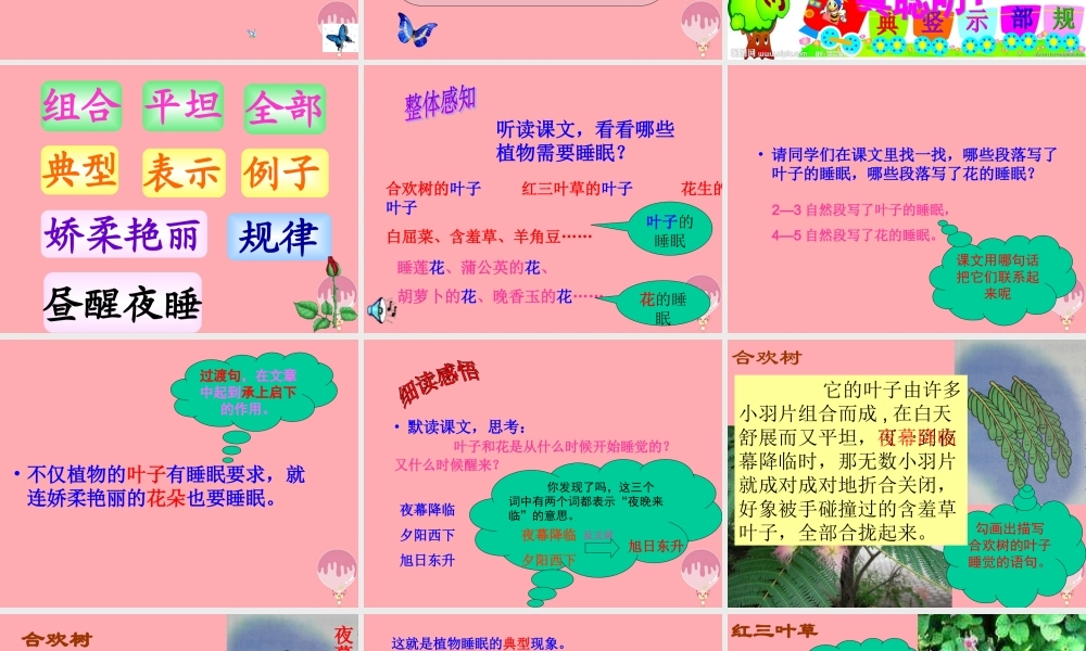 三年级语文上册 第三单元 植物的睡眠课件2 西师大版-西师大版小学三年级上册语文课件
