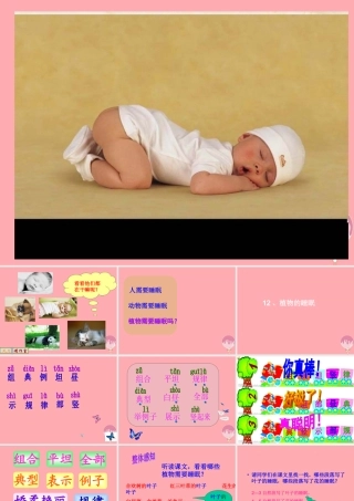 三年级语文上册 第三单元 植物的睡眠课件2 西师大版-西师大版小学三年级上册语文课件