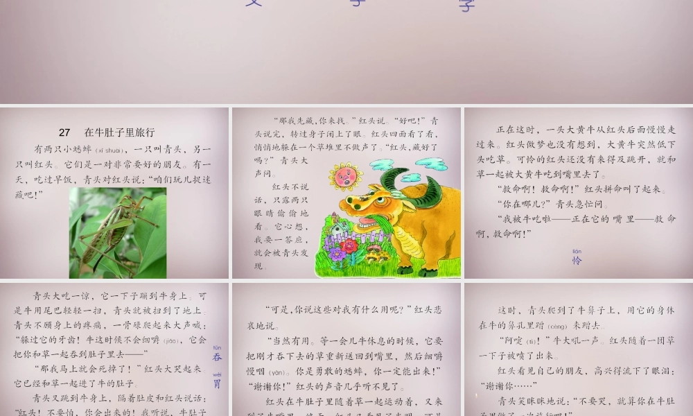 三年级语文上册《在牛肚子里旅行狼》课件1 语文A版-语文A版小学三年级上册语文课件