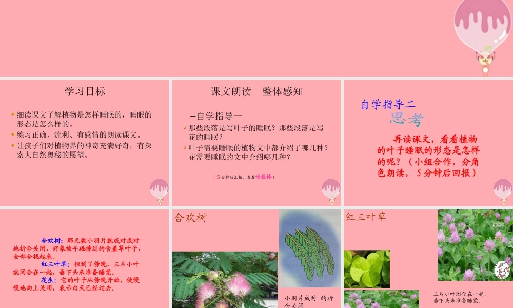 三年级语文上册 第三单元 植物的睡眠课件4 西师大版-西师大版小学三年级上册语文课件