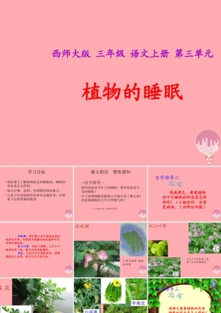 三年级语文上册 第三单元 植物的睡眠课件4 西师大版-西师大版小学三年级上册语文课件