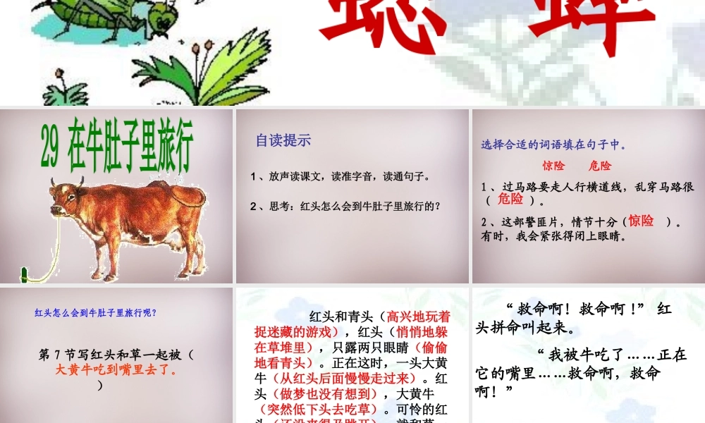 三年级语文上册《在牛肚子里旅行狼》课件2 语文A版-语文A版小学三年级上册语文课件