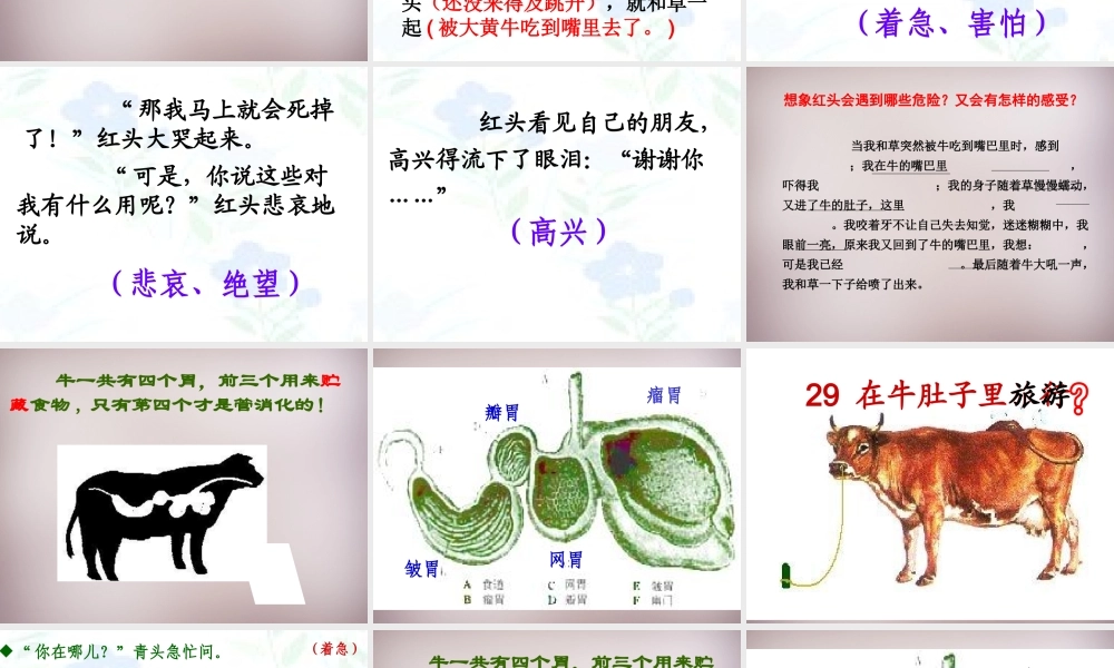 三年级语文上册《在牛肚子里旅行狼》课件2 语文A版-语文A版小学三年级上册语文课件