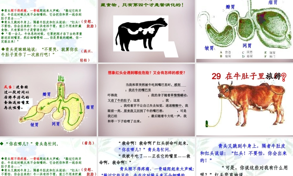 三年级语文上册《在牛肚子里旅行狼》课件2 语文A版-语文A版小学三年级上册语文课件