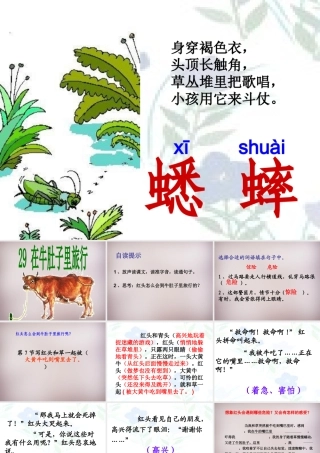 三年级语文上册《在牛肚子里旅行狼》课件2 语文A版-语文A版小学三年级上册语文课件