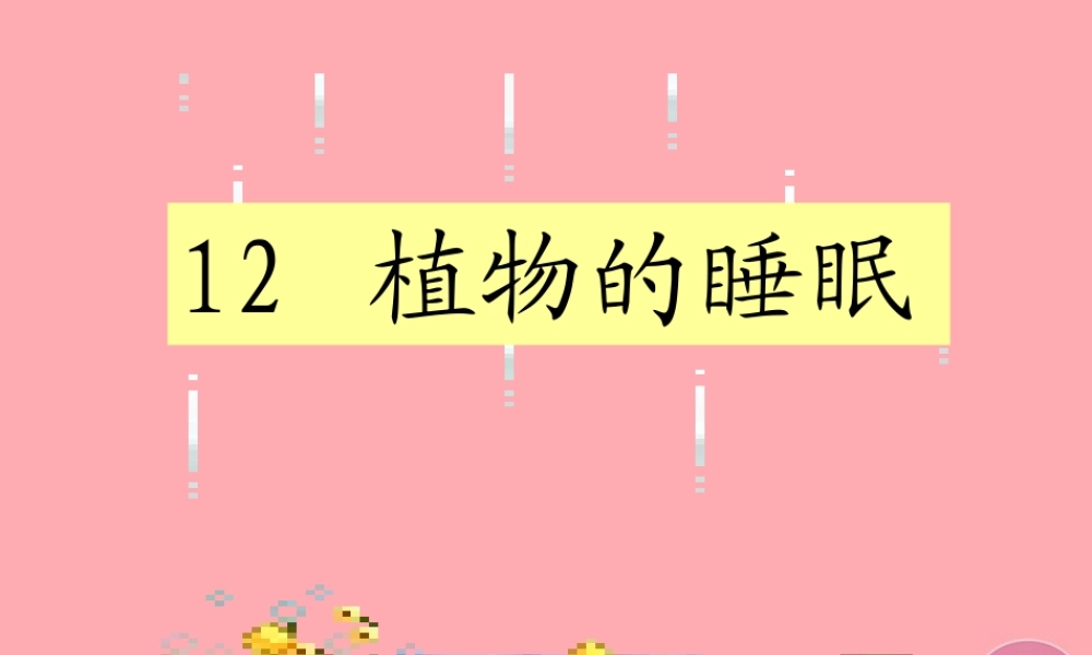 三年级语文上册 第三单元 植物的睡眠课件5 西师大版-西师大版小学三年级上册语文课件