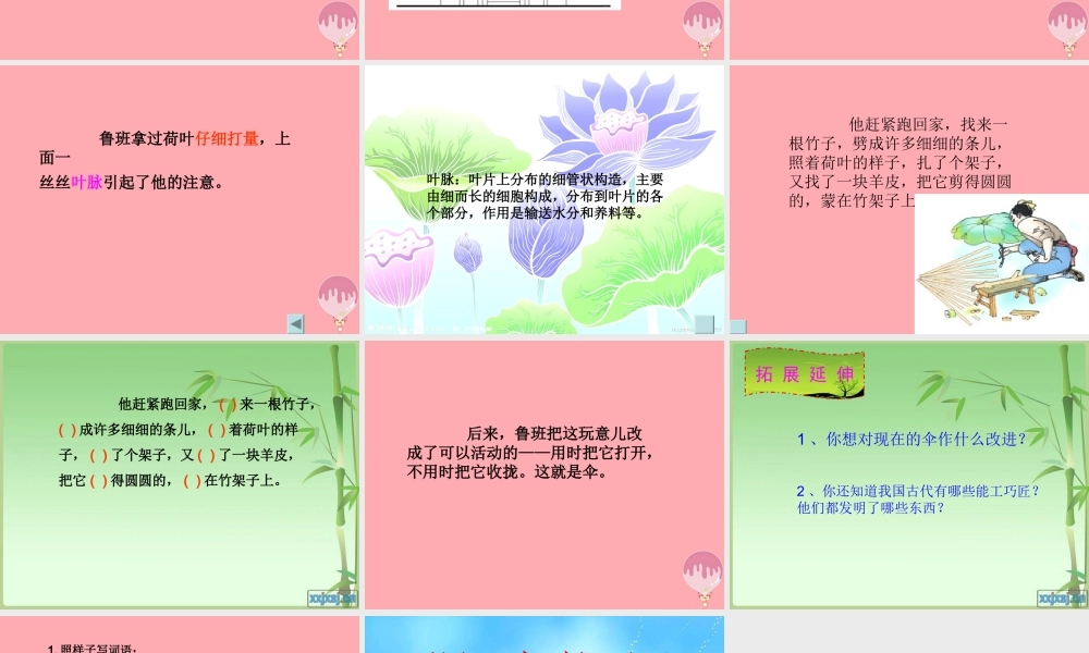 三年级语文上册 第五单元 鲁班造伞的传说课件4 西师大版-西师大版小学三年级上册语文课件