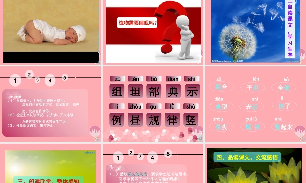 三年级语文上册 第三单元 植物的睡眠课件6 西师大版-西师大版小学三年级上册语文课件